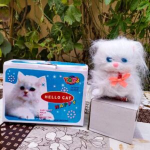 kids hello cat with light walk