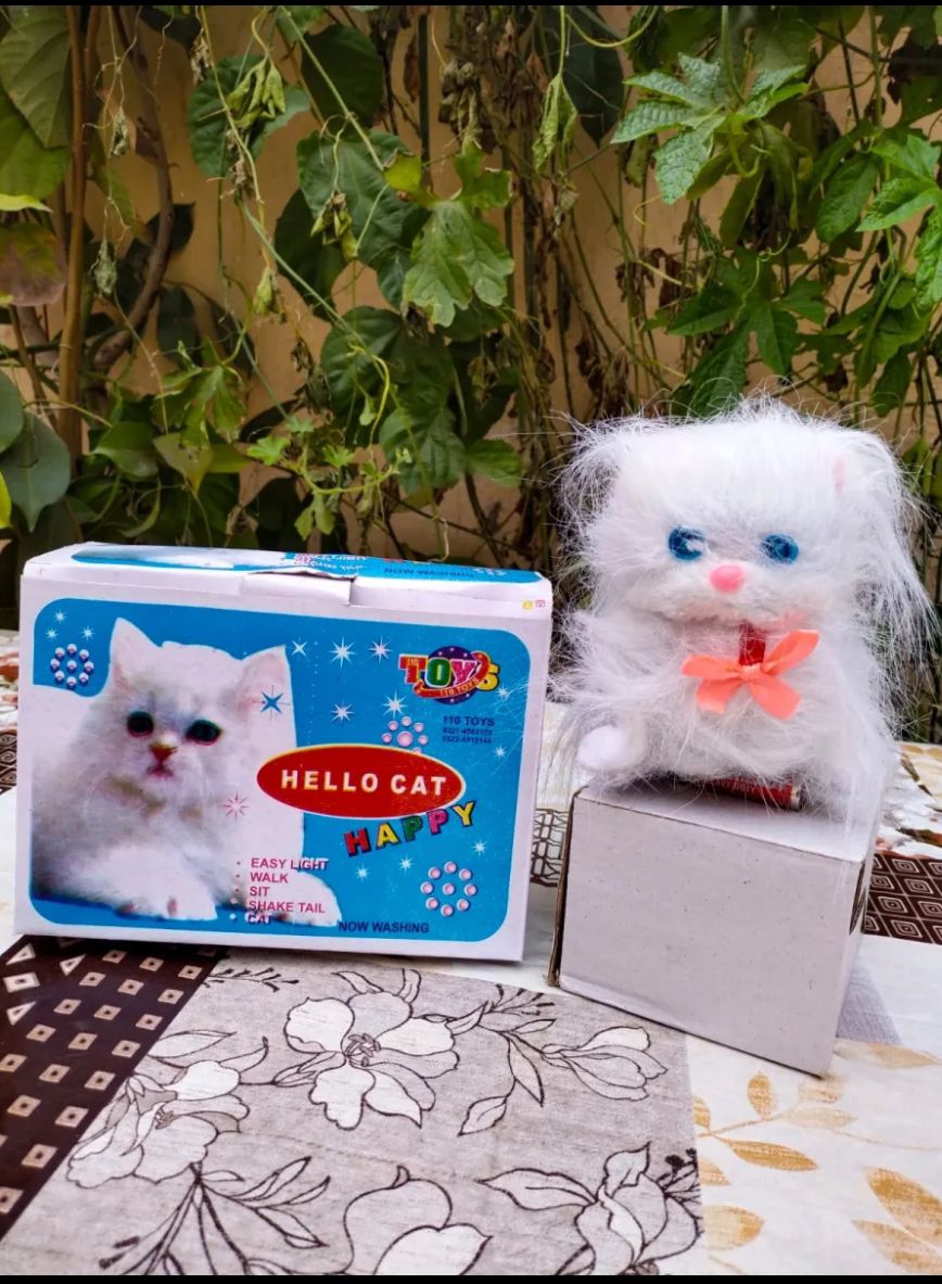 kids hello cat with light walk kids hello cat with light walk